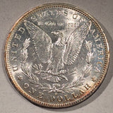 1882 O/S Morgan Dollar AU55
