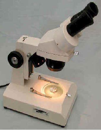 Microscope CNMP513