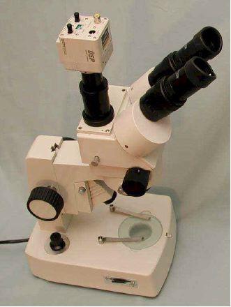 Microscope CNMP600