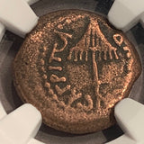 King Agrippa, 37-44 AD, Prutah, Judaea, NGC authenticated. Agrippa I