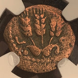 King Agrippa, 37-44 AD, Prutah, Judaea, NGC authenticated. Agrippa I